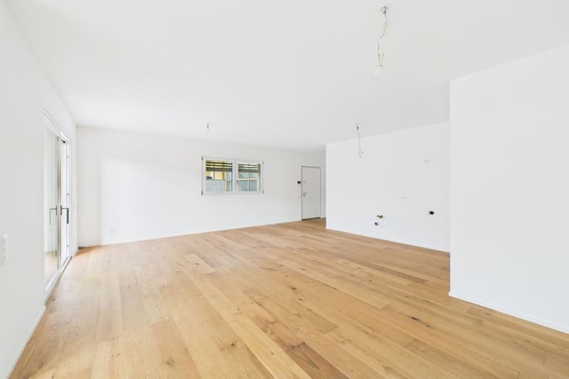 Attractive new apartment in the "Maison du Lac" residence (5)