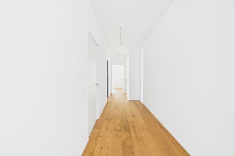 Attractive new apartment in the "Maison du Lac" residence (11)