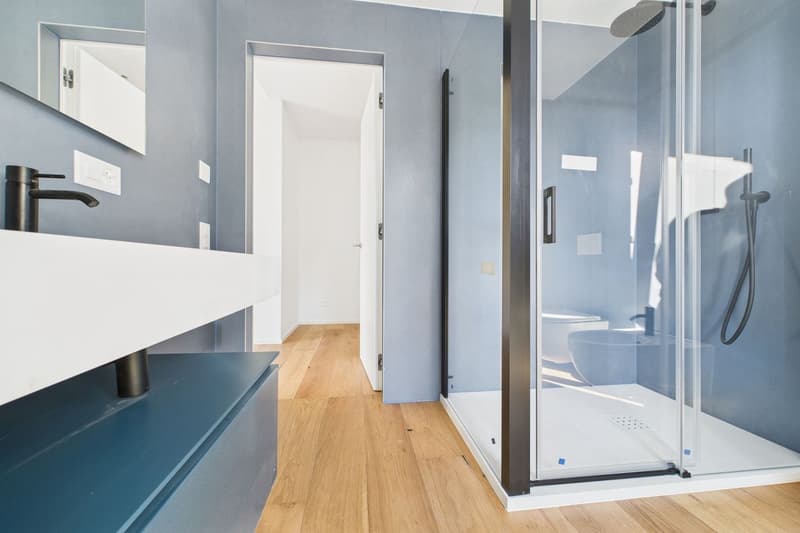 Attractive new apartment in the "Maison du Lac" residence (19)