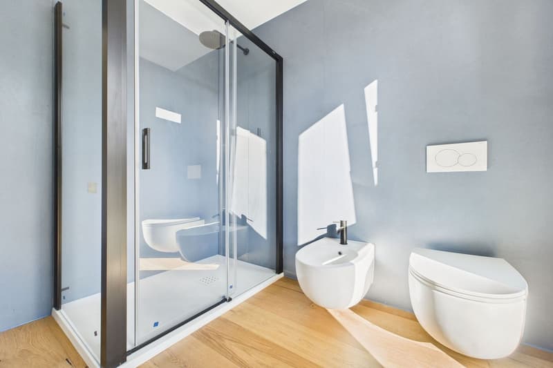 Attractive new apartment in the "Maison du Lac" residence (18)
