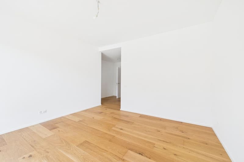 Attractive new apartment in the "Maison du Lac" residence (13)