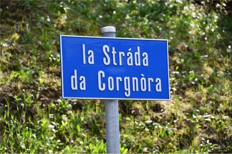 Gambarogno - Terrain à bâtir abordable (8)
