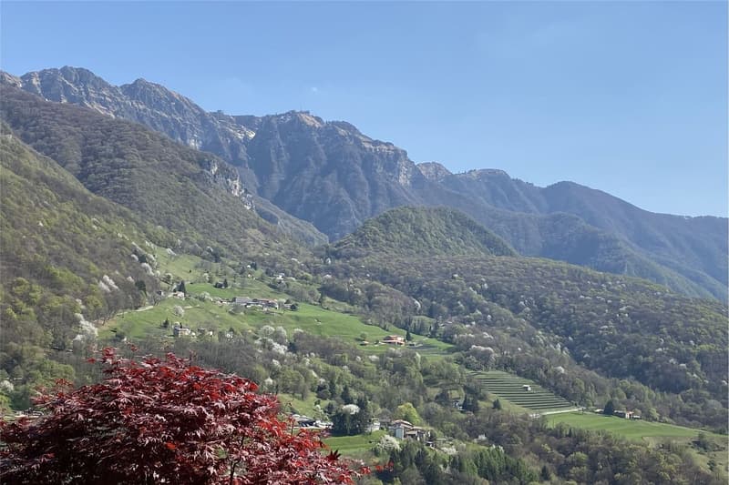 Design Villa in the Green of Arogno - Dreamlike Panoramic View! (9)