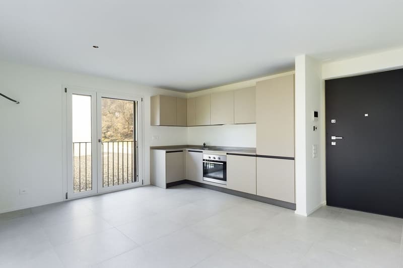 Moderno appartamento immerso nella natura con splendido terrazzo - Nuova costruzione a Iragna! (5)