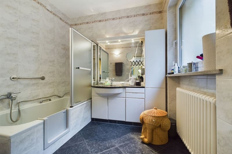 Grand belle propriété lacustre à Brusino Arsizio (8)