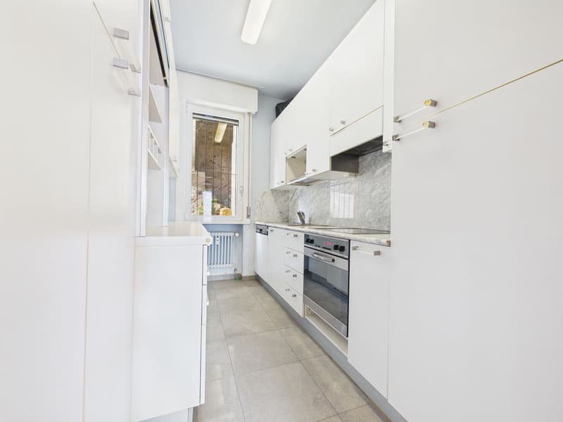Appartamento 3½ locali vista lago (10)