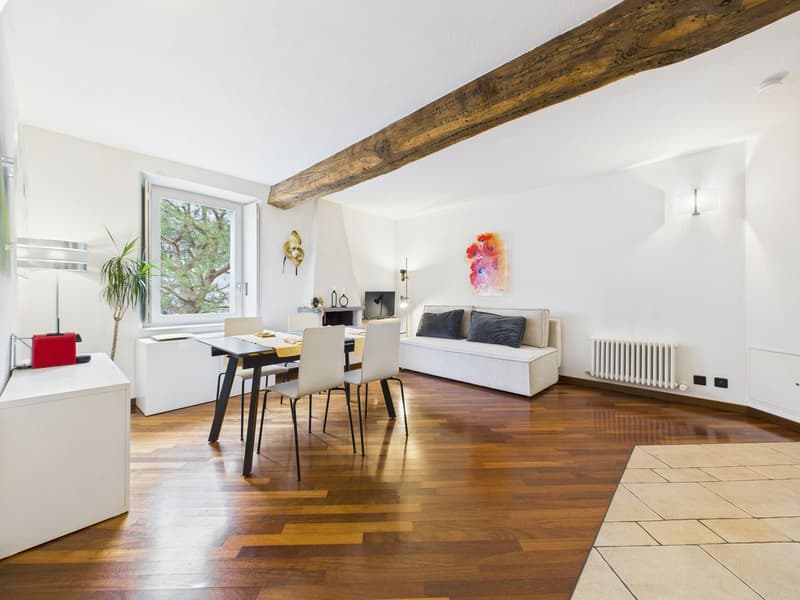 2.5-room apartment with a dreamy lake view in the heart of Morcote (2)