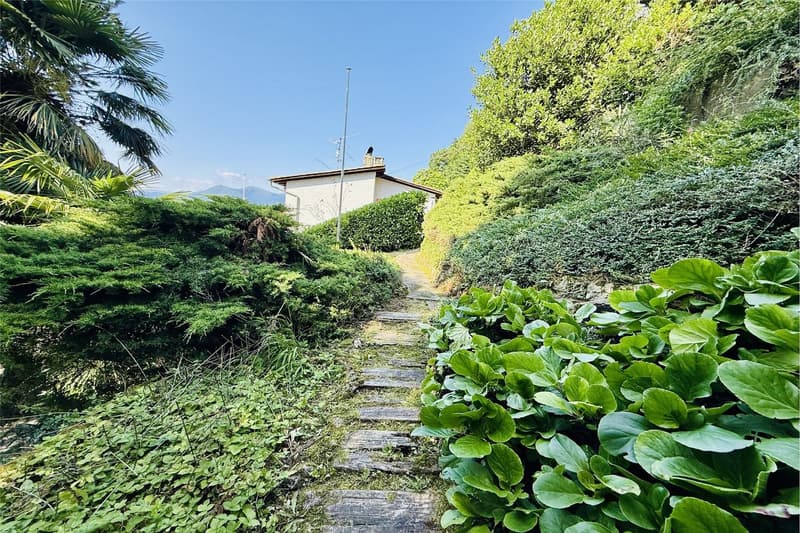 Lugano - Large, buildable plot in a green area (8)