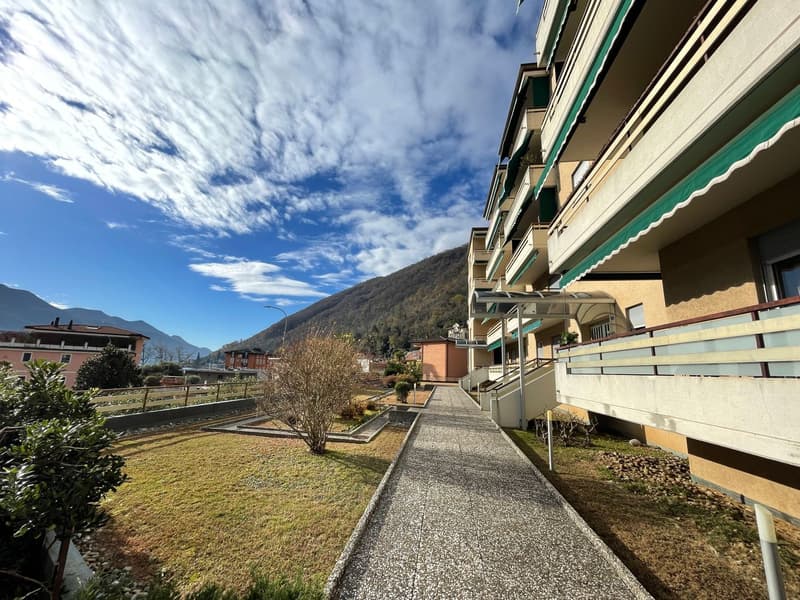 Affittasi grazioso 2½ locali con meravigliosa vista lago (8)