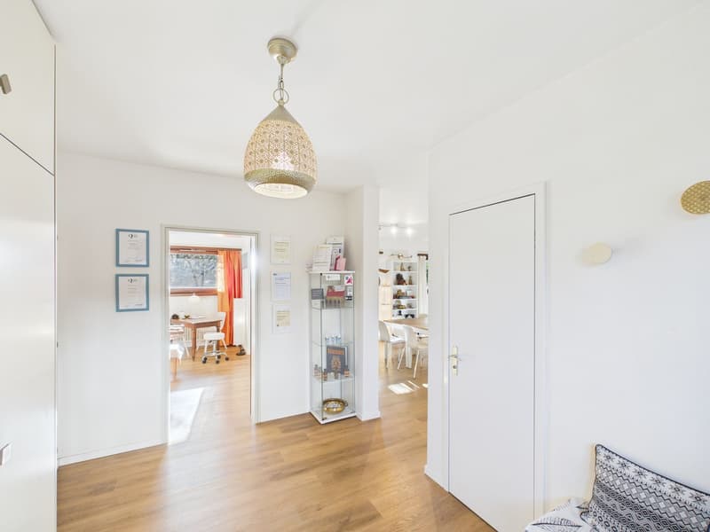 3½ locali rinnovato con potenziale 4½ - con box (5)