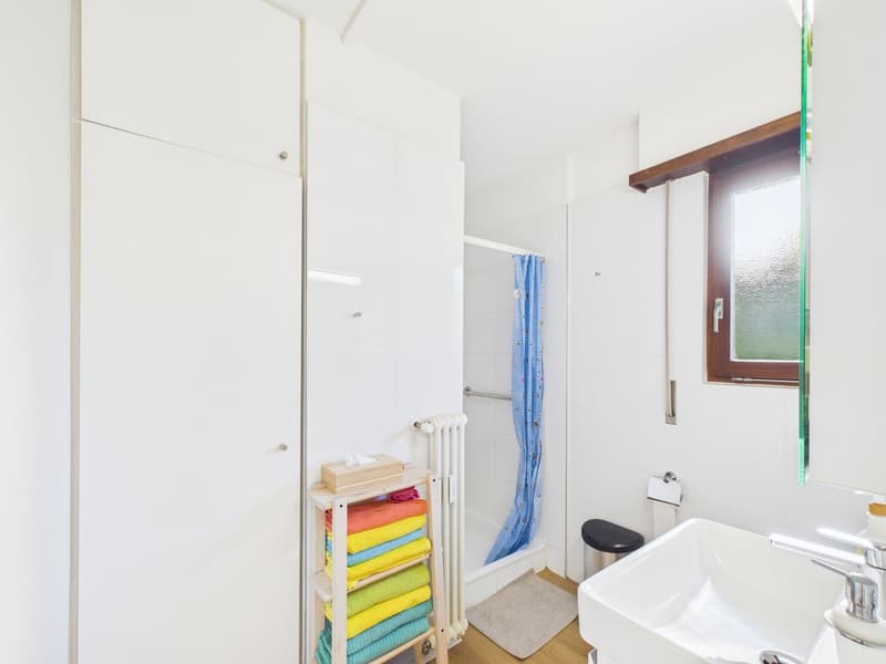 3½ locali rinnovato con potenziale 4½ - con box (6)