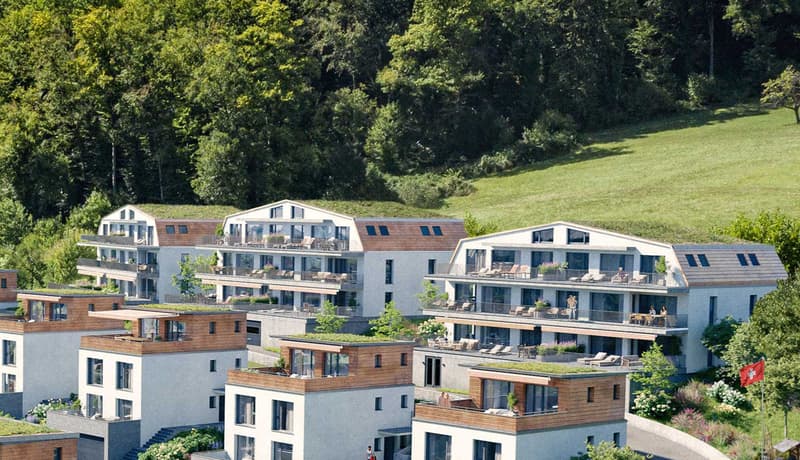 Grosszügige 4.5-Zimmer-Wohnung an sonniger Hanglage (10)