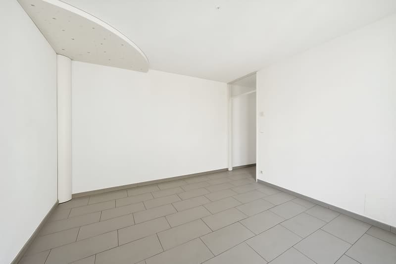 4.5-Zimmer-Attikawohnung mit grosser Dachterrasse! (8)