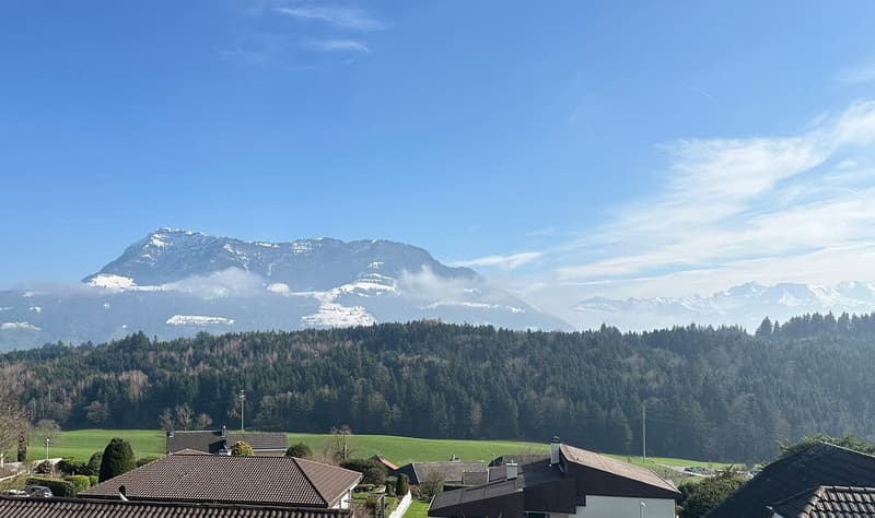 Exklusives Wohnen mit Weitblick Ihr neues Zuhause in Udligenswil (7)