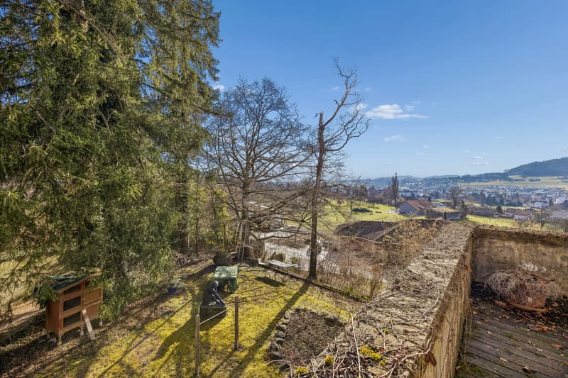 Jugendstilvilla in Reinach mit aussergewöhnlichem Parkgarten (9)