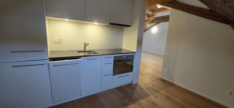 Moderne 2.5-Zimmer-Duplex in Stein AG mieten (Nr. 20) (11)