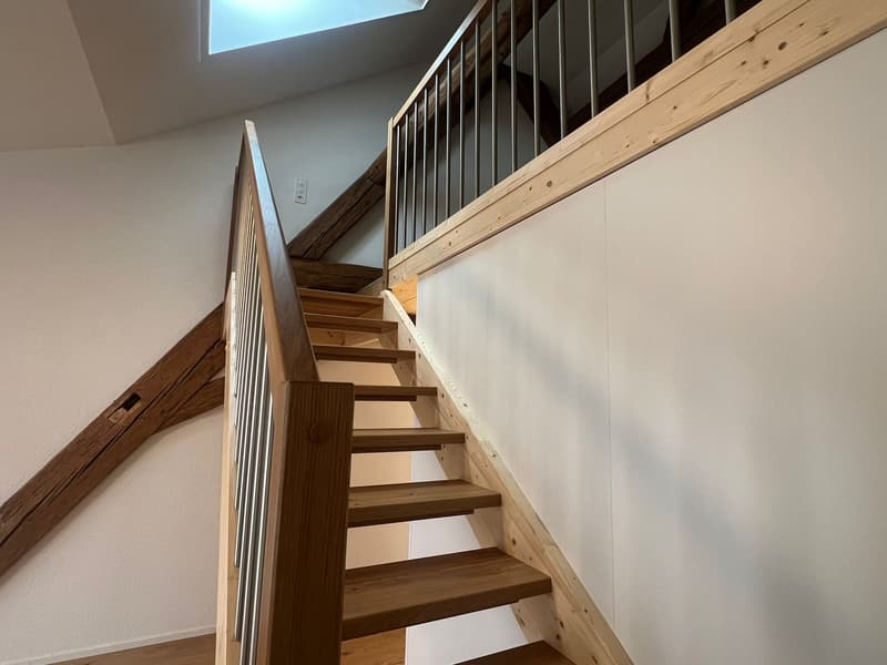 Moderne 2.5-Zimmer-Duplex in Stein AG mieten (Nr. 20) (2)