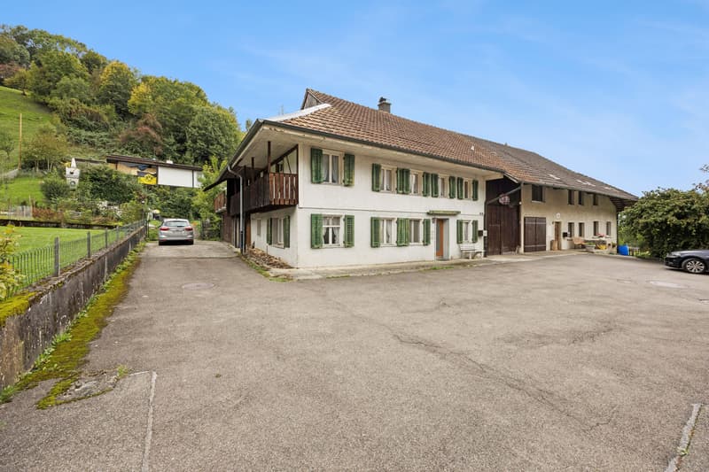 Grosszügiges 7-Zimmer-Haus in Leibstadt mit grosser Dachterrasse und viel Potenzial (3)