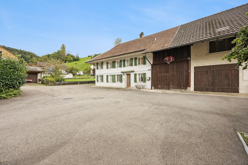 Grosszügiges 7-Zimmer-Haus in Leibstadt mit grosser Dachterrasse und viel Potenzial (2)