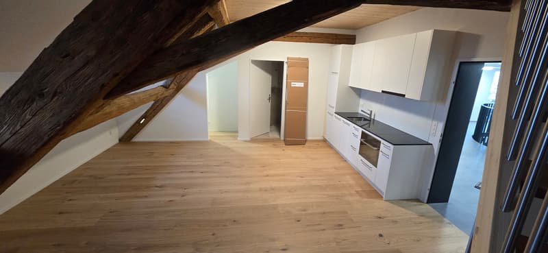 Moderne 2.5-Zimmer-Duplex in Stein AG mieten (Nr. 16) (4)