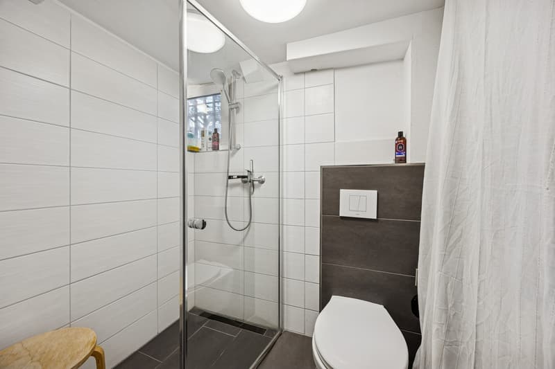 Renoviertes 5.5-Zimmer-Reihenhaus mit 166 m² Gesamtfläche & grosser Terrasse (9)