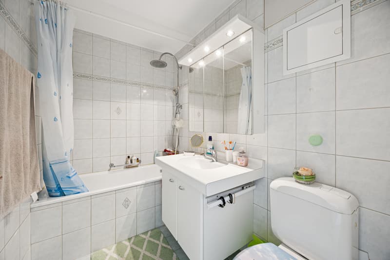 6.5-Zimmer-Dachwohnung - flexibel in 3.5- und 4.5-Zimmer-Wohnung teilbar. (10)