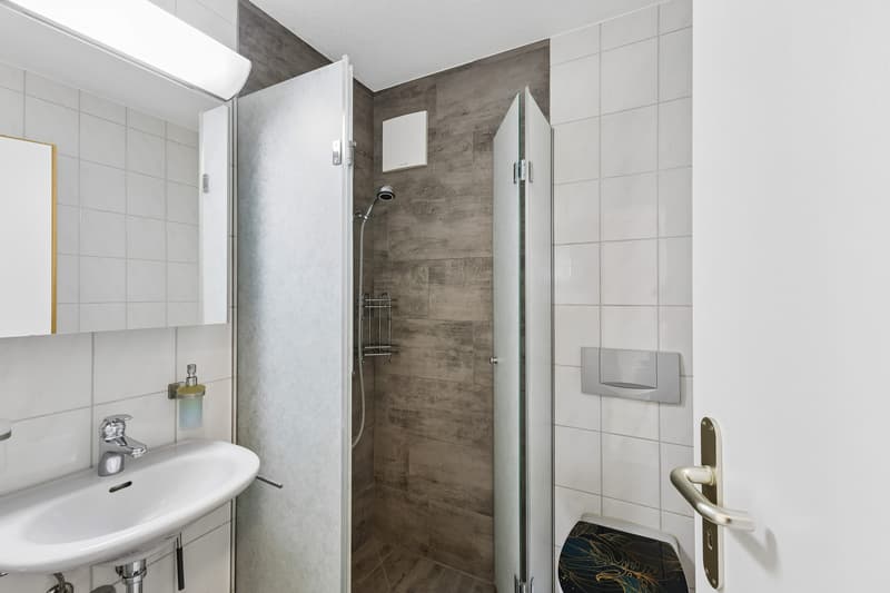 4.5-Zimmer-Wohnung mit Cheminée und drei Parkplätzen (10)
