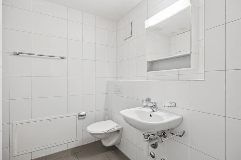 Trimbach: Sonnige 2.5-Zi.-Eigentumswohnung mit 43.6 m² Terrasse (8)