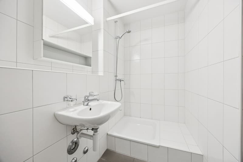 Trimbach: Sonnige 2.5-Zi.-Eigentumswohnung mit 43.6 m² Terrasse (9)