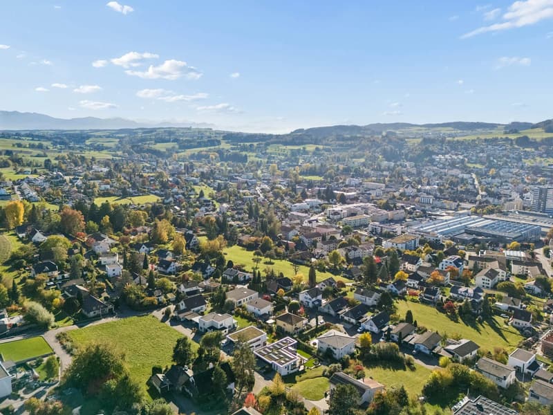 Teich, Steg & Palme: Familienhaus mit Ferien-Garten in Menziken (2)