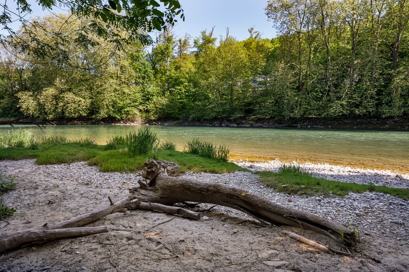 DUPLEX-LOFT AM FLUSS (7)