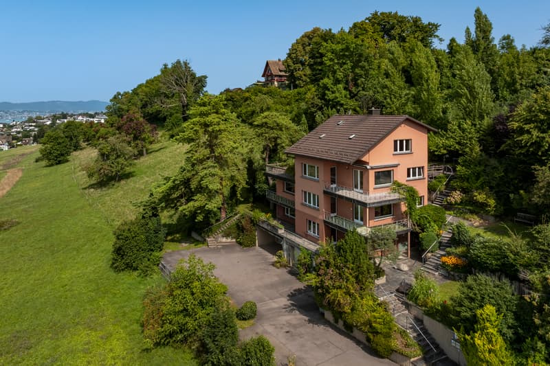 PANORAMAGRUNDSTÜCK AM ZÜRICHSEE (7)
