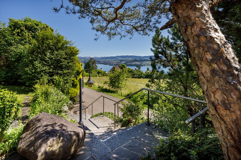 PANORAMAGRUNDSTÜCK AM ZÜRICHSEE (2)