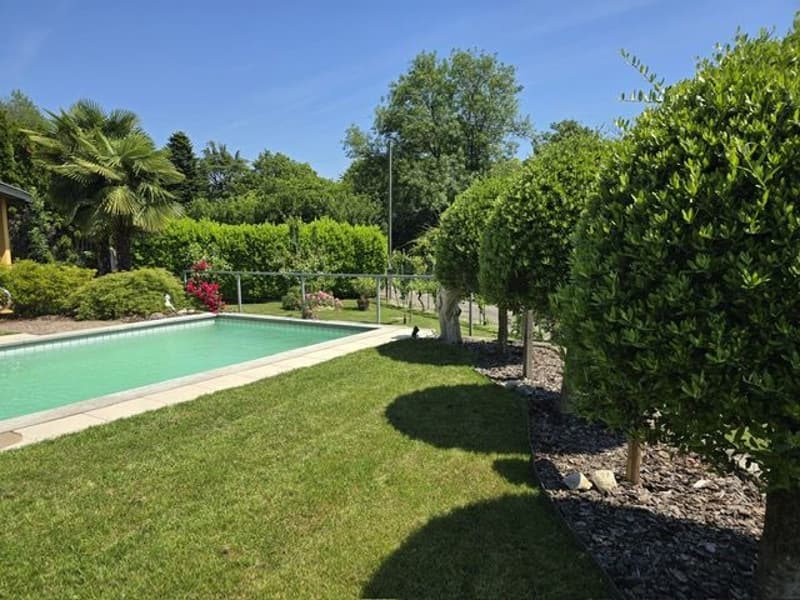 Esclusiva Villa con Piscina e Giardino nel Cuore Verde di Lugano - Pura (3)