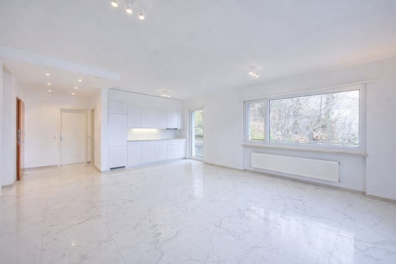 Splendido appartamento con terrazzo e vista lago ad Lugano Aldesago (3)