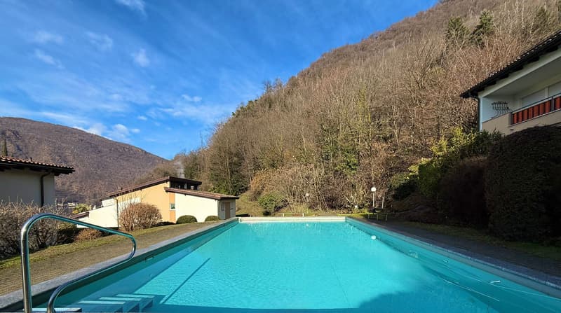 Appartamento ammobiliato di 2,5 locali con giardino e balcone a Morcote (1)