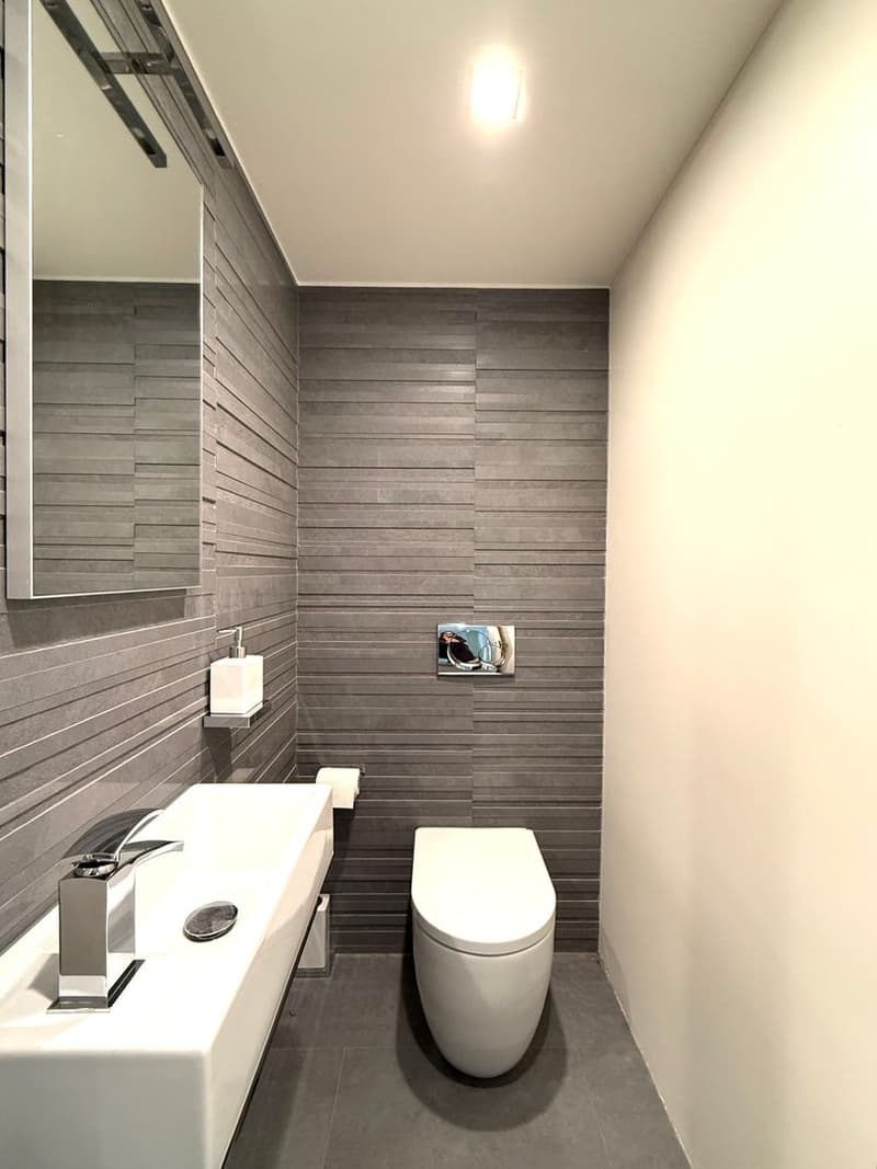 Appartamento ammobiliato di 2,5 locali con giardino e balcone a Morcote (11)