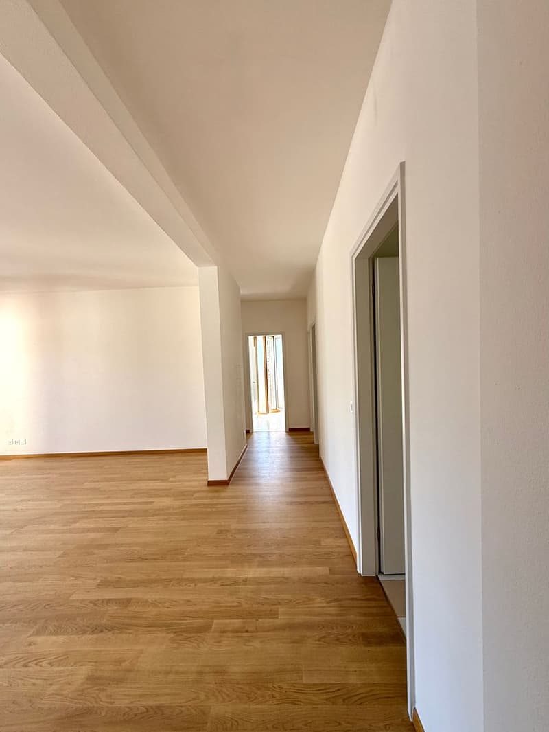 APPARTAMENTO IN AFFITTO (4)