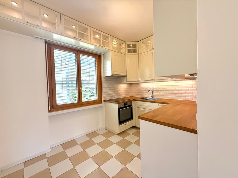 APPARTAMENTO IN AFFITTO (6)