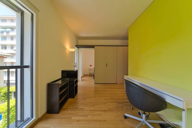 Esclusivo loft ammobiliato a due passi dall'Università a Lugano (3)