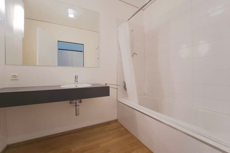Esclusivo loft ammobiliato a due passi dall'Università a Lugano (7)