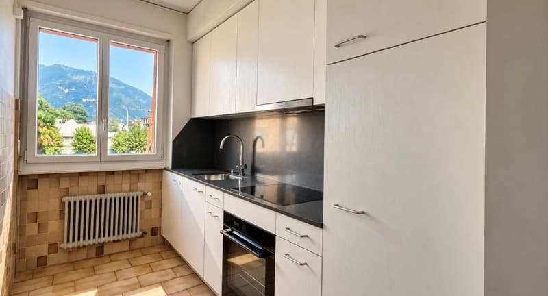 Appartamento 3,5 locali centrale (5)