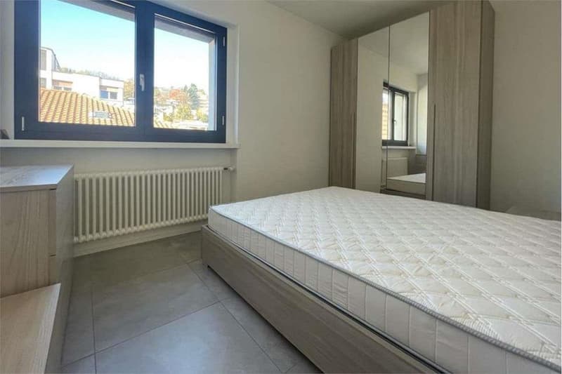 Appartamento attico ammobiliato in centro a Lugano (5)