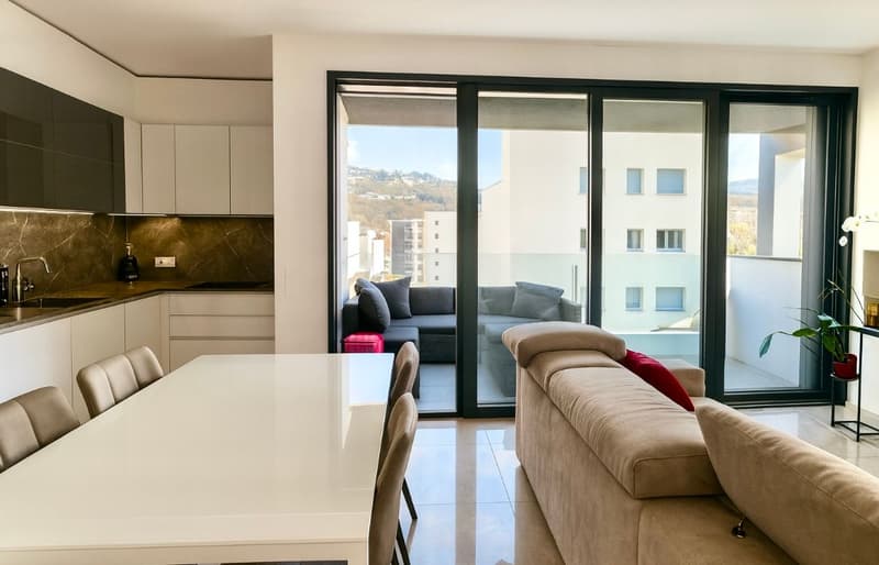Appartamento 3,5 locali con bella terrazza (6)