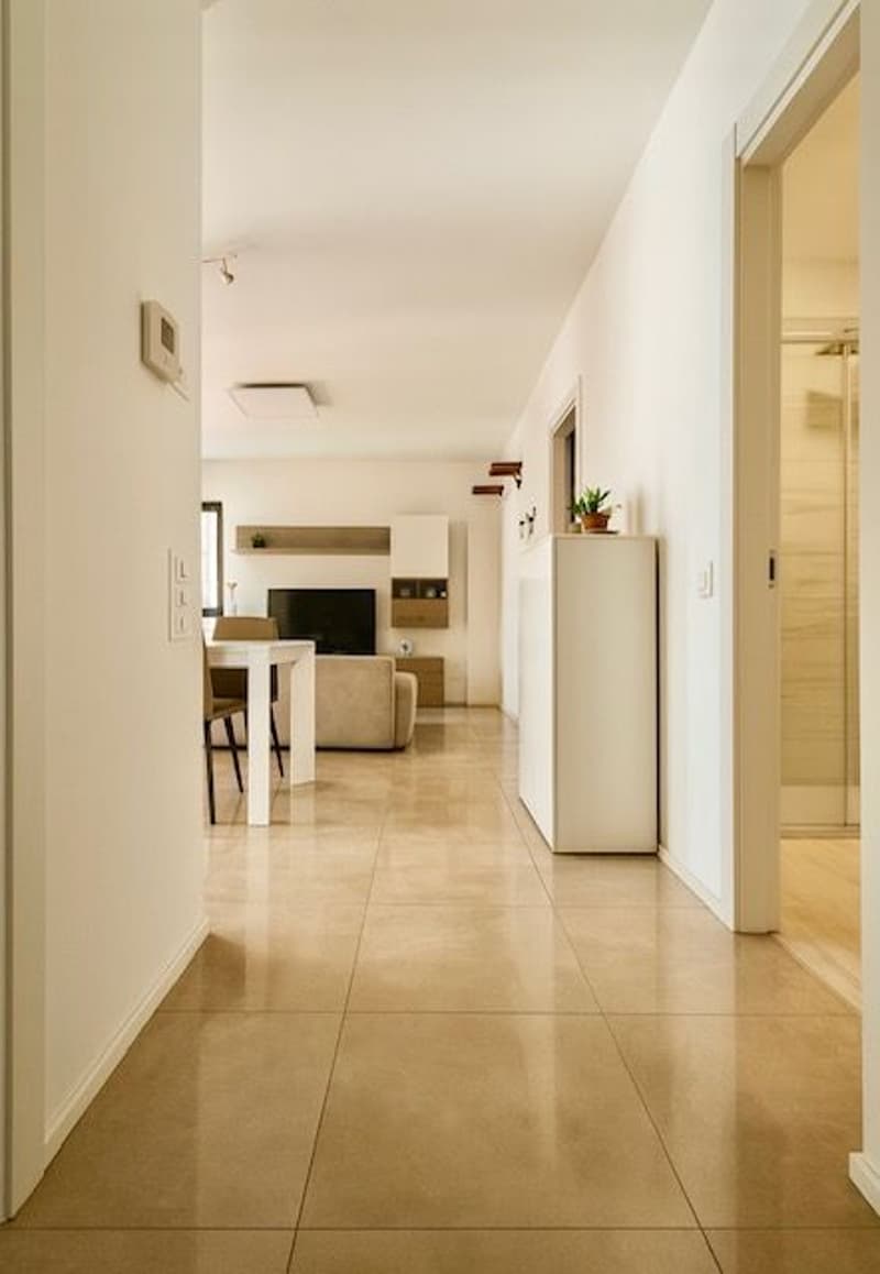 Appartamento 3,5 locali con bella terrazza (3)