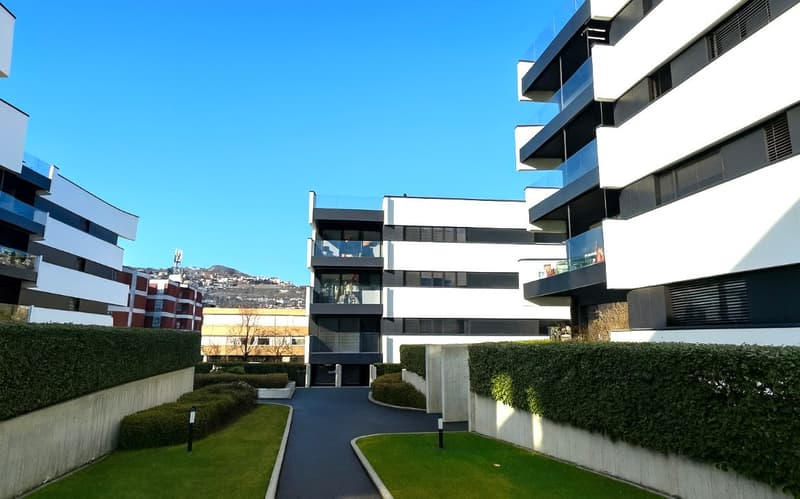 Appartamento 3,5 locali con bella terrazza (12)