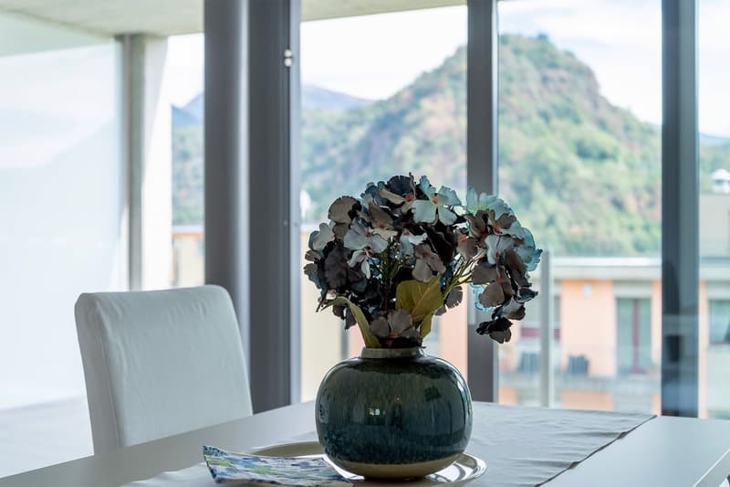 Gravesano - elegante appartamento 2,5 locali con ampia terrazza panoramica (5)
