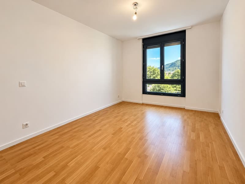 Spazioso e luminoso appartamento di 4.5 locali con terrazzo e giardino privato (9)