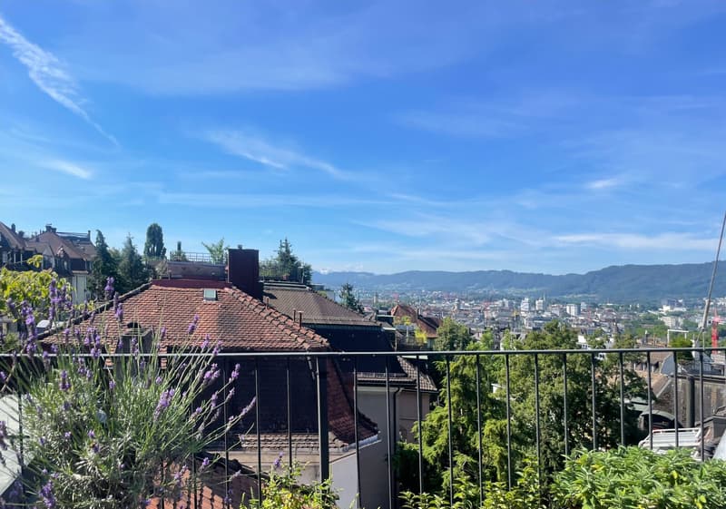 Metropolitan Chic - Living in Zurich's Prestige Neighborhood (26)