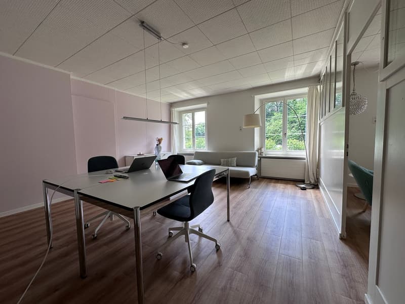Helles, voll ausgestattetes Büro mit schönem Parkett (6)